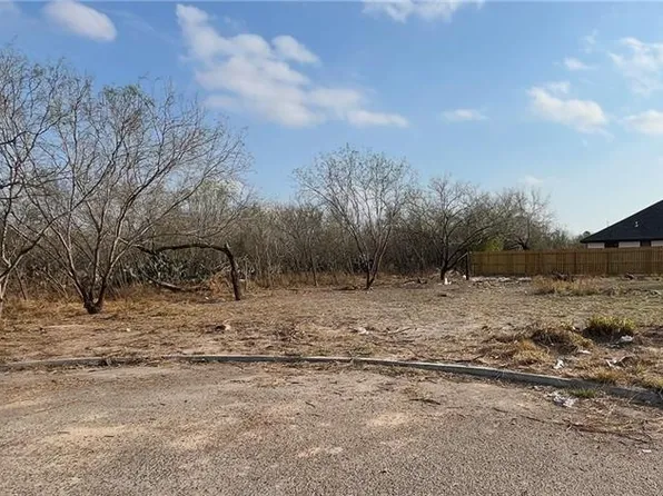 318 Sally Ave, San Juan, TX 78589