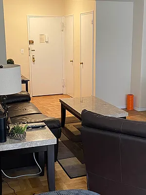 Rented by Luxus Manhattan Realty | media 5