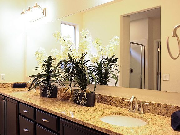 Owner s Bath with dual sinks and granite counters