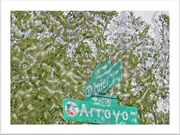 4th image of 251 Arroyo Ave