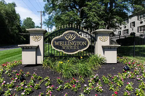 Wellington Woods Photo 1