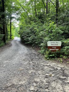 0 Turkey Pen Rd, Mills River, NC, 28759