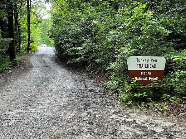 0 Turkey Pen Rd, Mills River, NC 28759