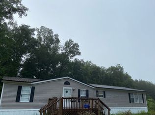 101 SW San Pedro Ct, Mayo, FL 32066