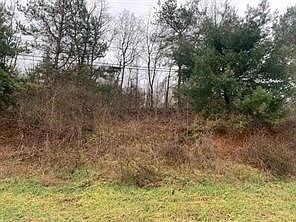 1st image of LOT 8 Ringertown Rd