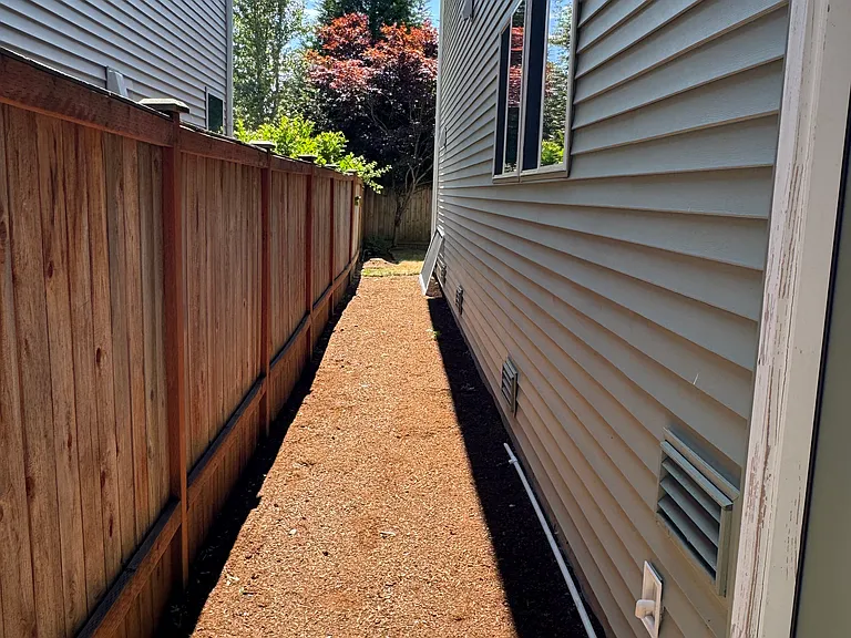 Left Side yard