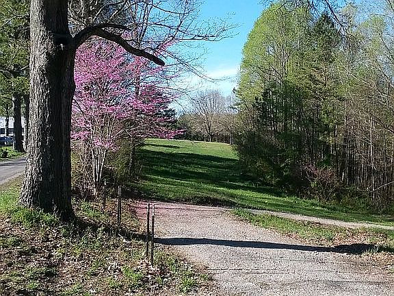 2nd image of 287 Hidden Springs Ln