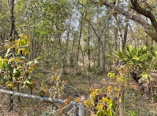 899 E La Salle St, Hernando, FL 34442