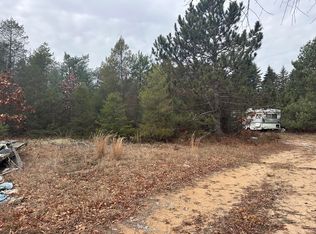 8119 N Sweet Chevy Ln, Bitely, MI 49309