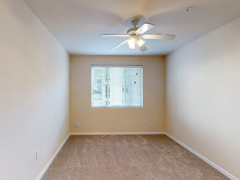 Spacious apartment bedroom with plush carpet flooring.