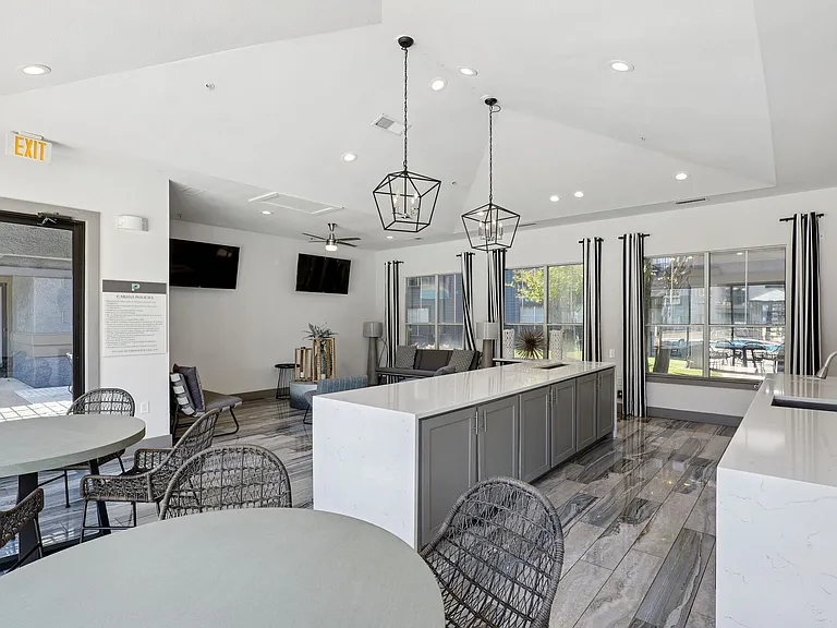 Palomar — Photo 15