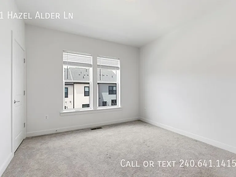 311 Hazel Alder Ln — Photo 19