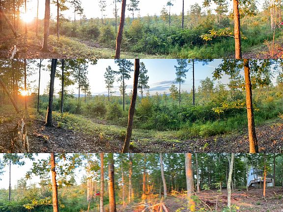 Backyard landcaped park with solar lit path leading to natural log sitting bench at property edge, 160degree sunlit valley views to West and North.