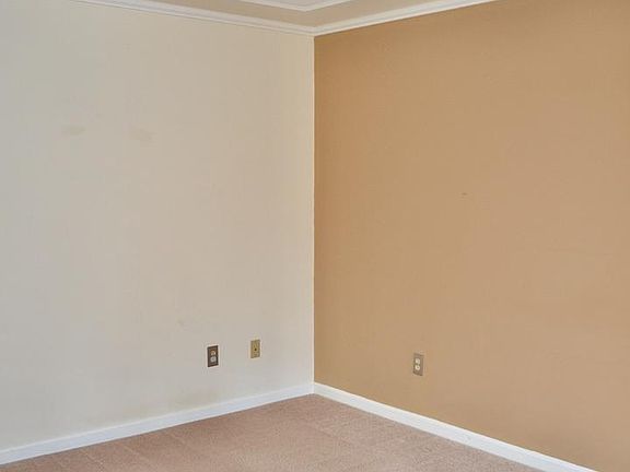 5th image of 31 Wineberry Ln