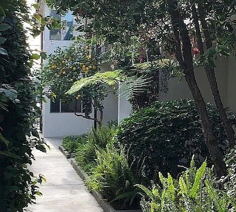 garden apt lower unit