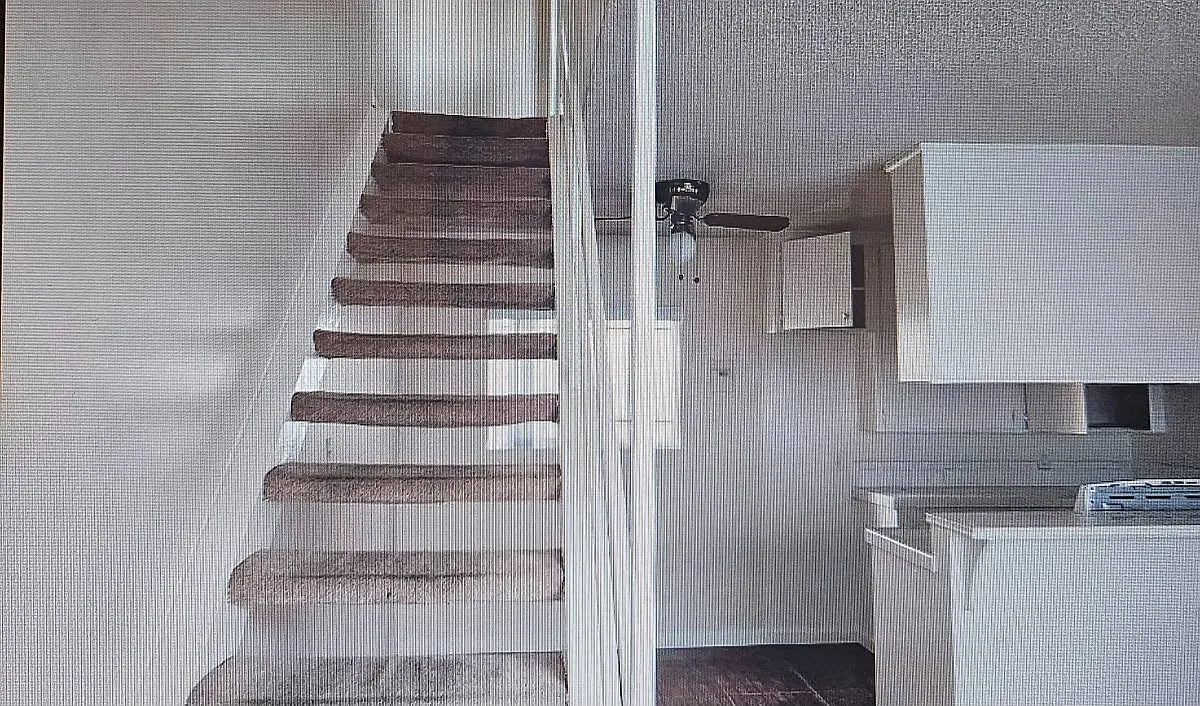 1 bed, 800 sqft, $1,800 — Photo 4