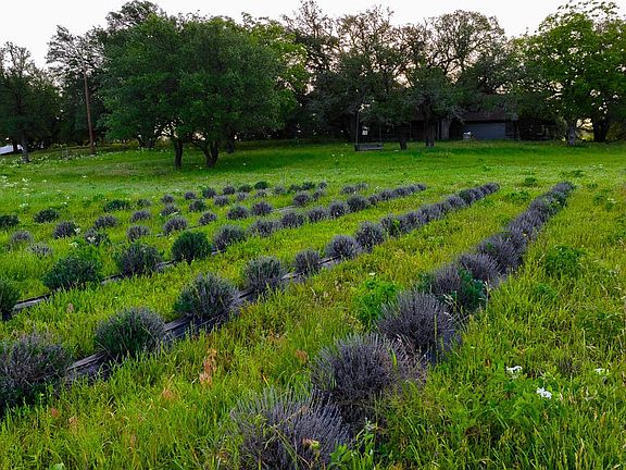 Farm, ranch, homestead, river property, river frontage, ranchforsale, farm, Brazos River