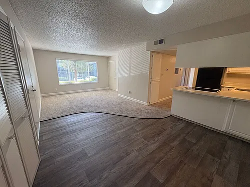 Floor plan 494803