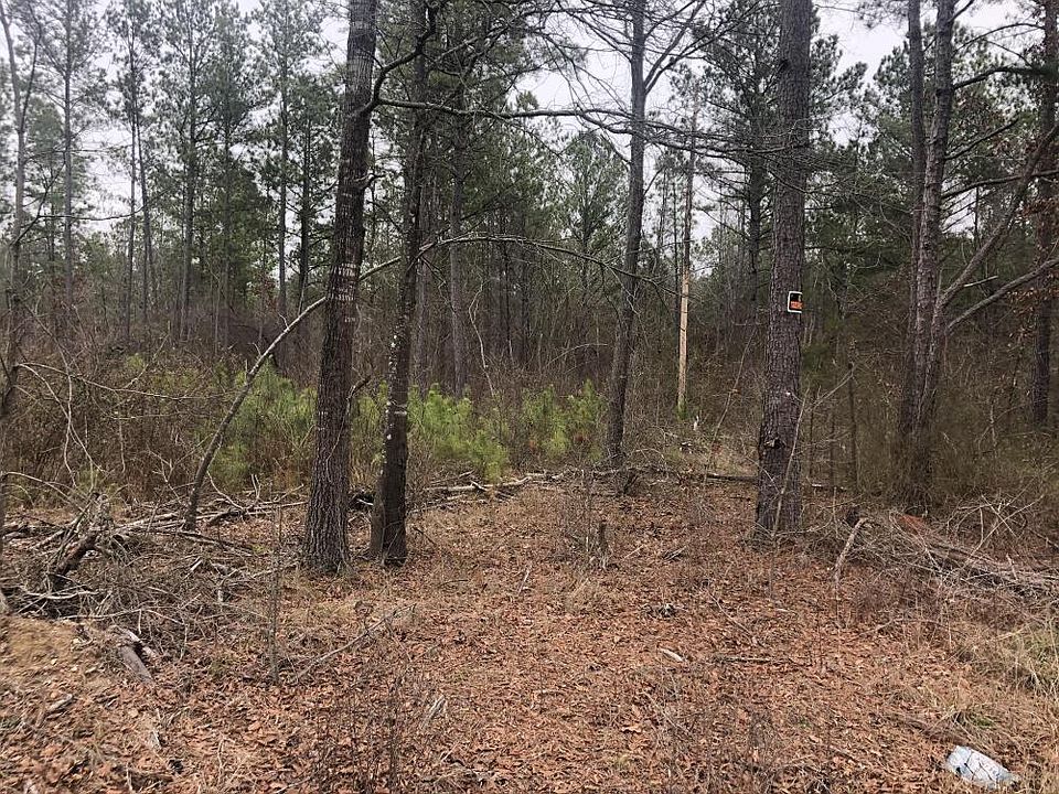Mix of Pine and Hardwoods provides diverse habitat