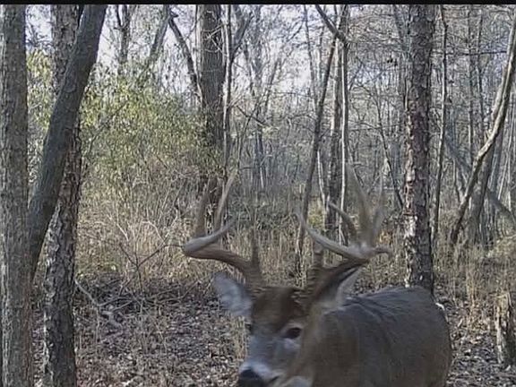 5th image of 0 Cherrybark Ln