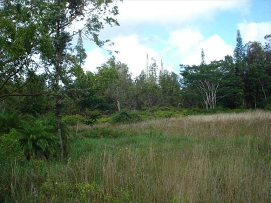 4th image of Kahukai St Lot 1