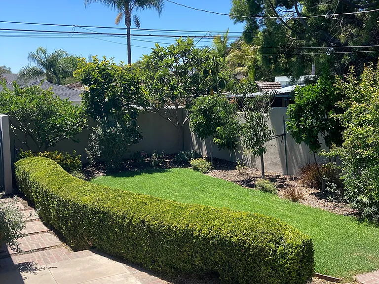 Beautiful backyard with many fruit trees