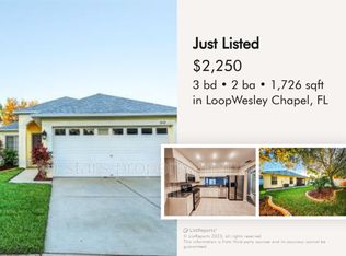 31147 Tagus Loop, Wesley Chapel, FL 33545