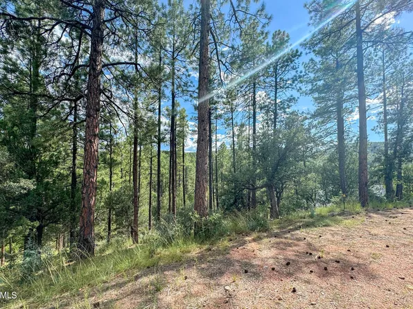 14 W Wipila Wiki Drive #14, Payson, AZ 85541