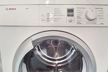 Rented by Bold New York