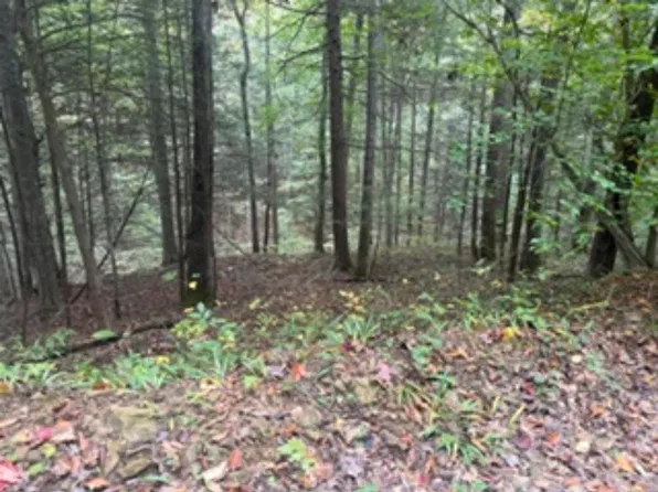 0 Elkhorn Trce, Hyden, KY 41749