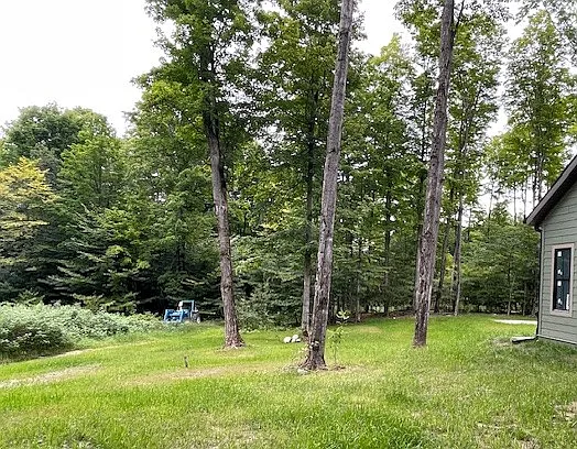 High Pines Trl — Photo 80