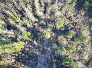 2302 368th St S, Roy, WA 98580