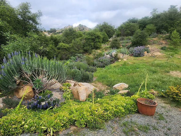 12410 Mirar De Valle — Photo 27