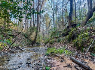 Natchez Trace Smith Rd, French Camp, MS 39745