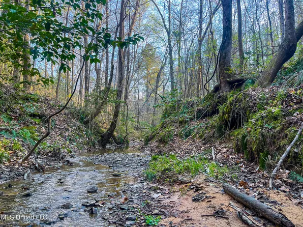 Natchez Trace Smith Rd, French Camp, MS 39745
