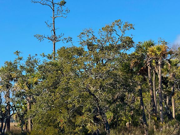 5th image of 0 Palmetto Rd #F