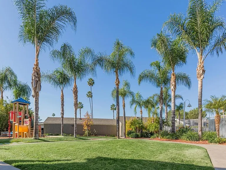 Citrus Court Apartments — Photo 27