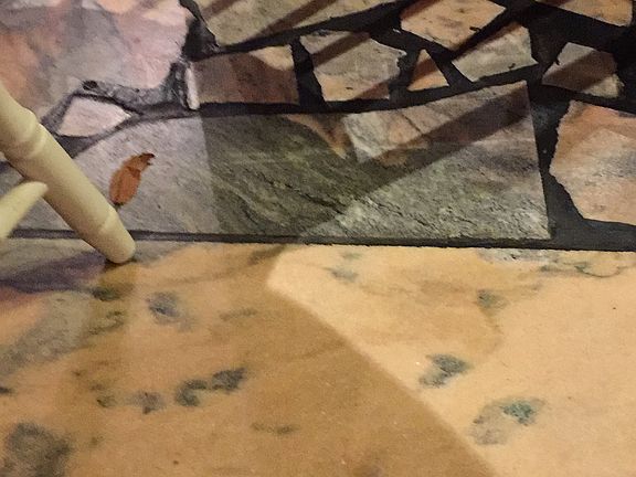 Quarry marble floors 