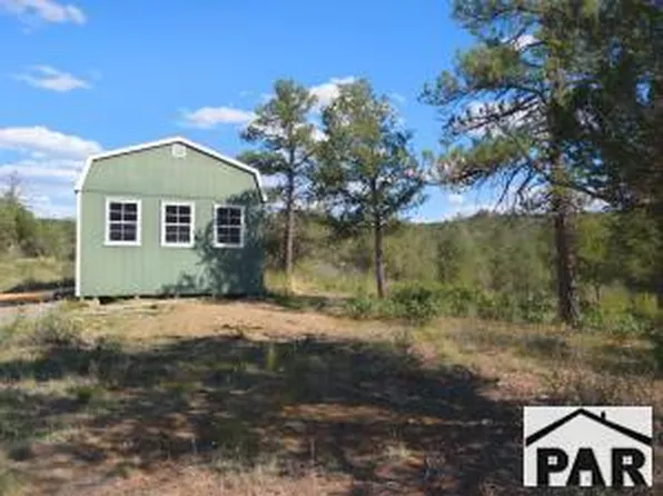 13115 Silver Spruce Cir W, Weston, CO 81091