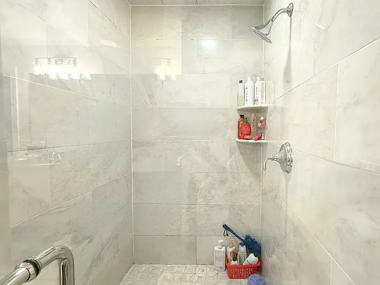 Primary Bath's Shower