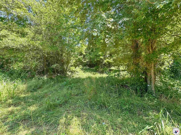 Tbd Cr 4251, De Kalb, TX 75559