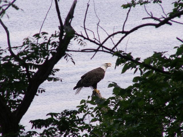 2nd image of N7125 1280th St