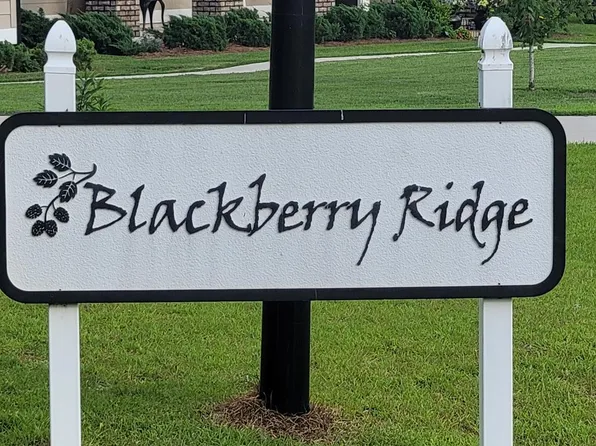 184 Blackberry Ln, Thomasville, GA 31792