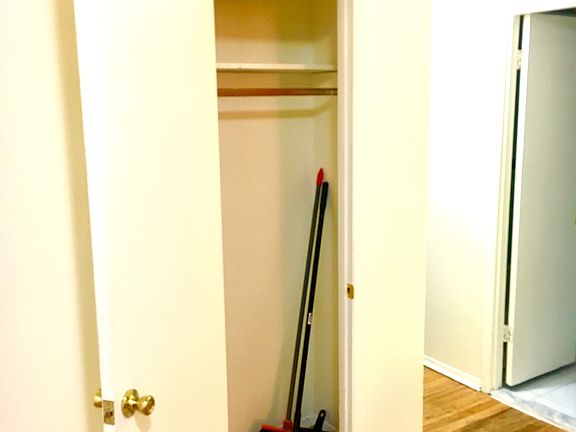 Extra storage / broom closet