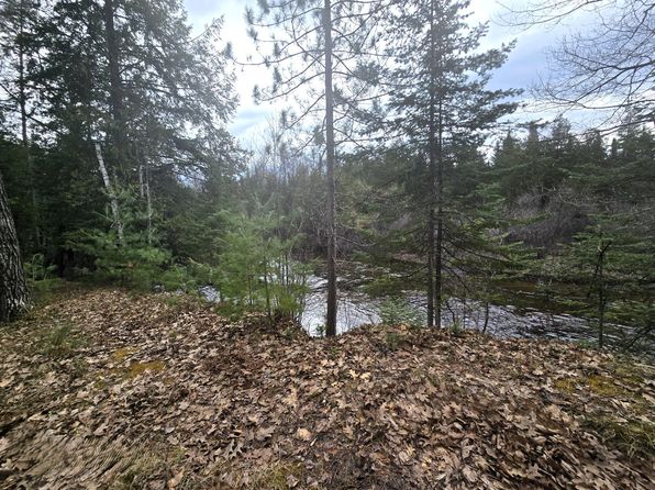 8750 White Pine Pass SE, Fife Lake, MI 49633