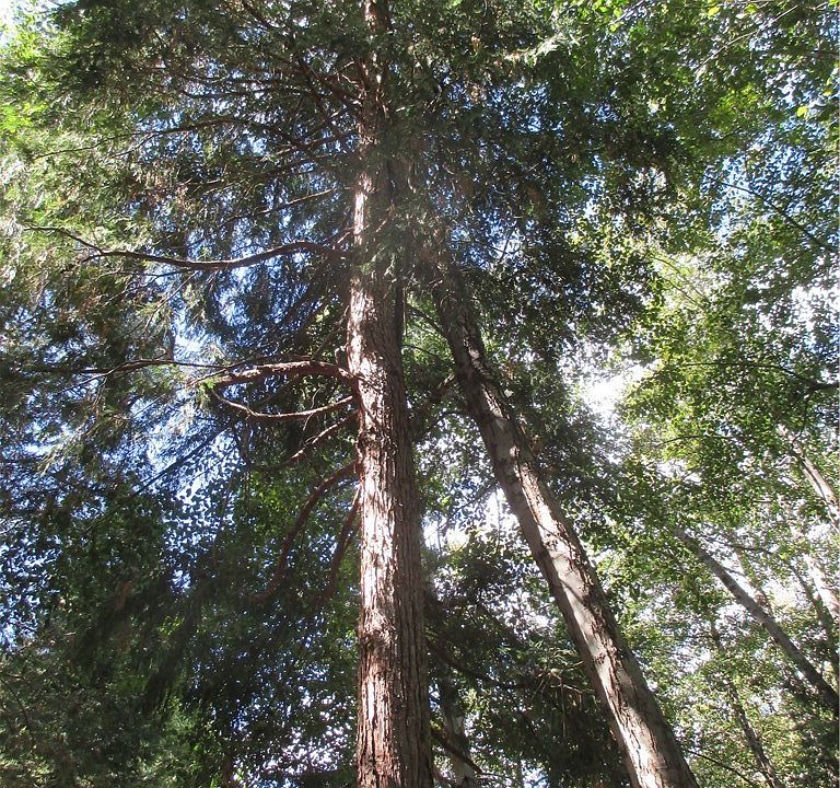 1st image of 9080 Mountain View Dr