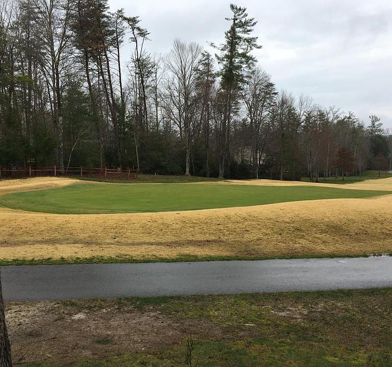 2nd image of Forest View Dr