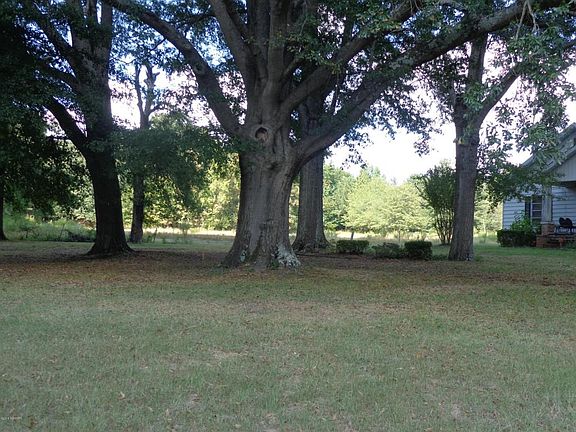 3rd image of 1366 Elvis Presley Dr
