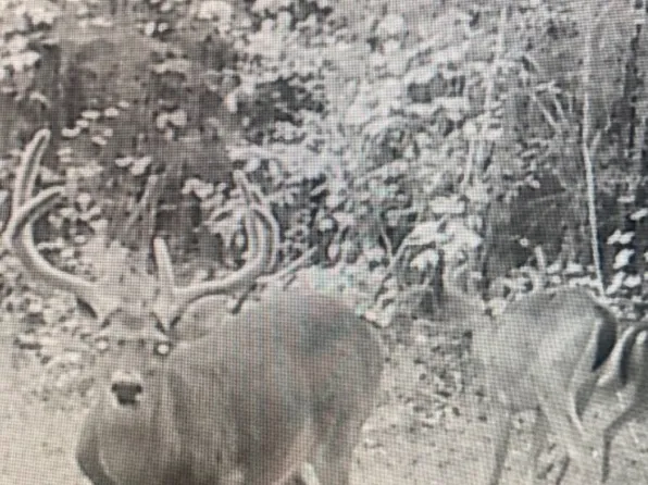 Reid Ln Lot Wp001, Symsonia, KY 42082