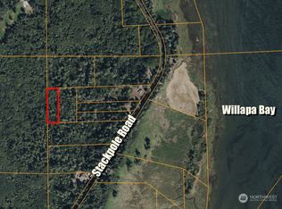 387 Xx Stackpole Rd, Oysterville, WA 98641